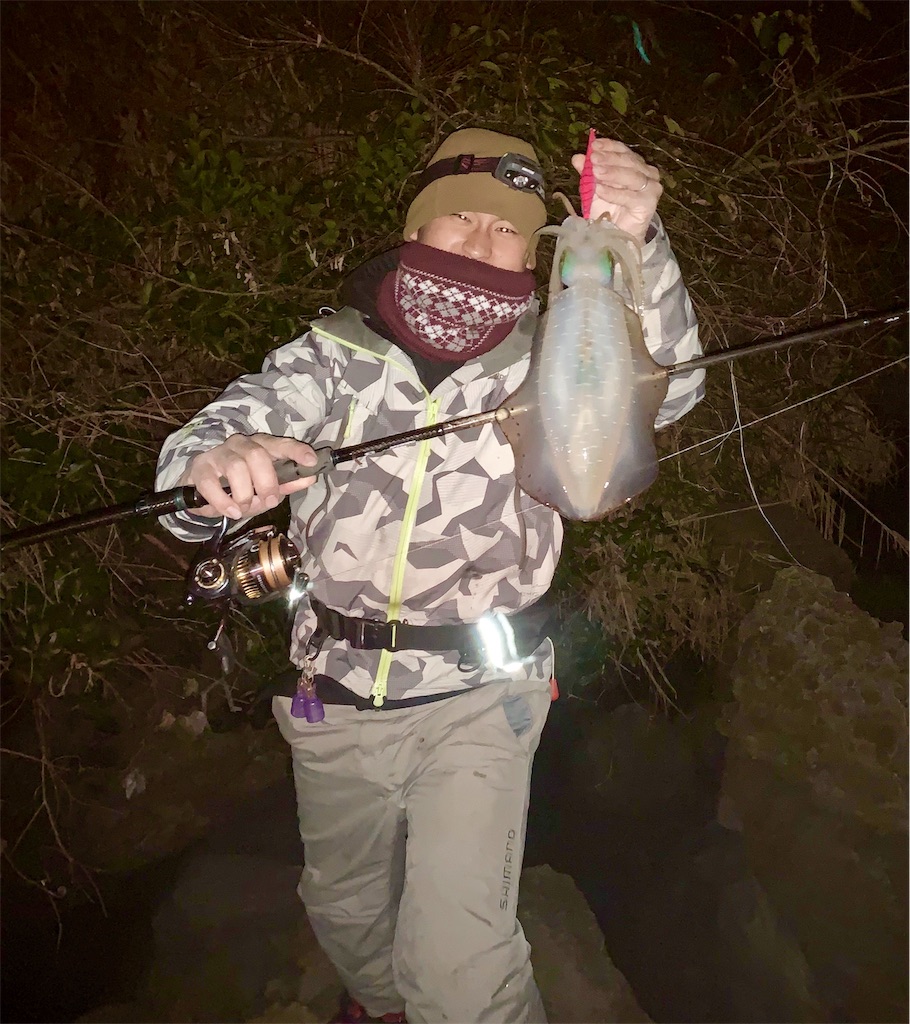 f:id:k_u_r_a_g_e_n:20190225144729j:image f:id:k_u_r_a_g_e_n:20190225144729j:image