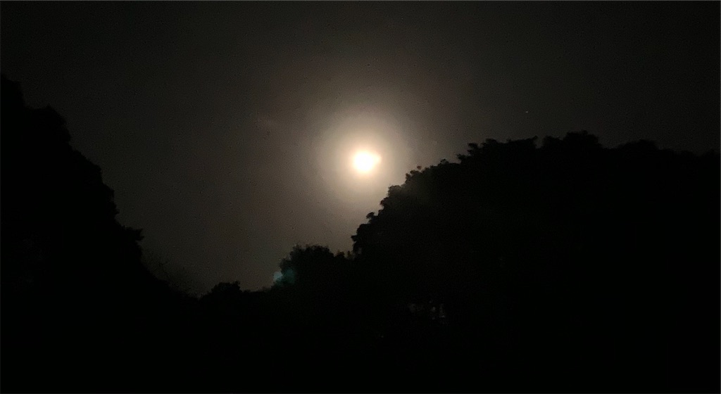 f:id:k_u_r_a_g_e_n:20190225144733j:image f:id:k_u_r_a_g_e_n:20190225144733j:image
