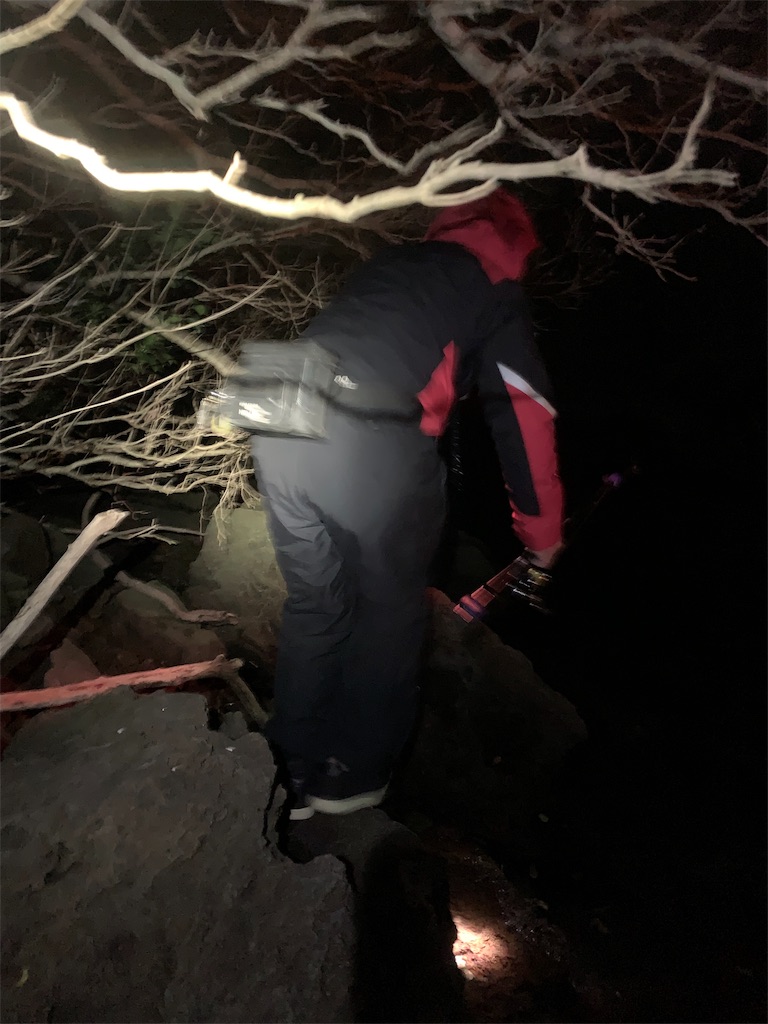 f:id:k_u_r_a_g_e_n:20190225144748j:image f:id:k_u_r_a_g_e_n:20190225144748j:image