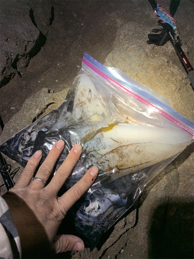 f:id:k_u_r_a_g_e_n:20190225145339j:image f:id:k_u_r_a_g_e_n:20190225145339j:image