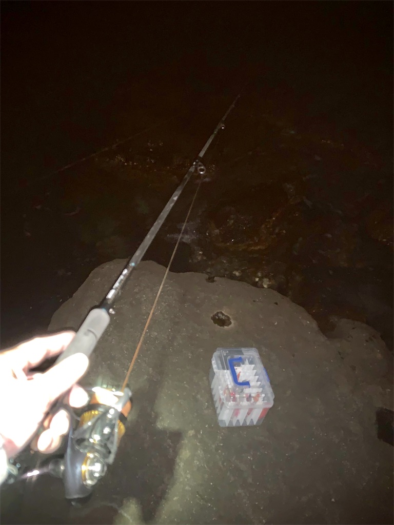 f:id:k_u_r_a_g_e_n:20190225145353j:image f:id:k_u_r_a_g_e_n:20190225145353j:image