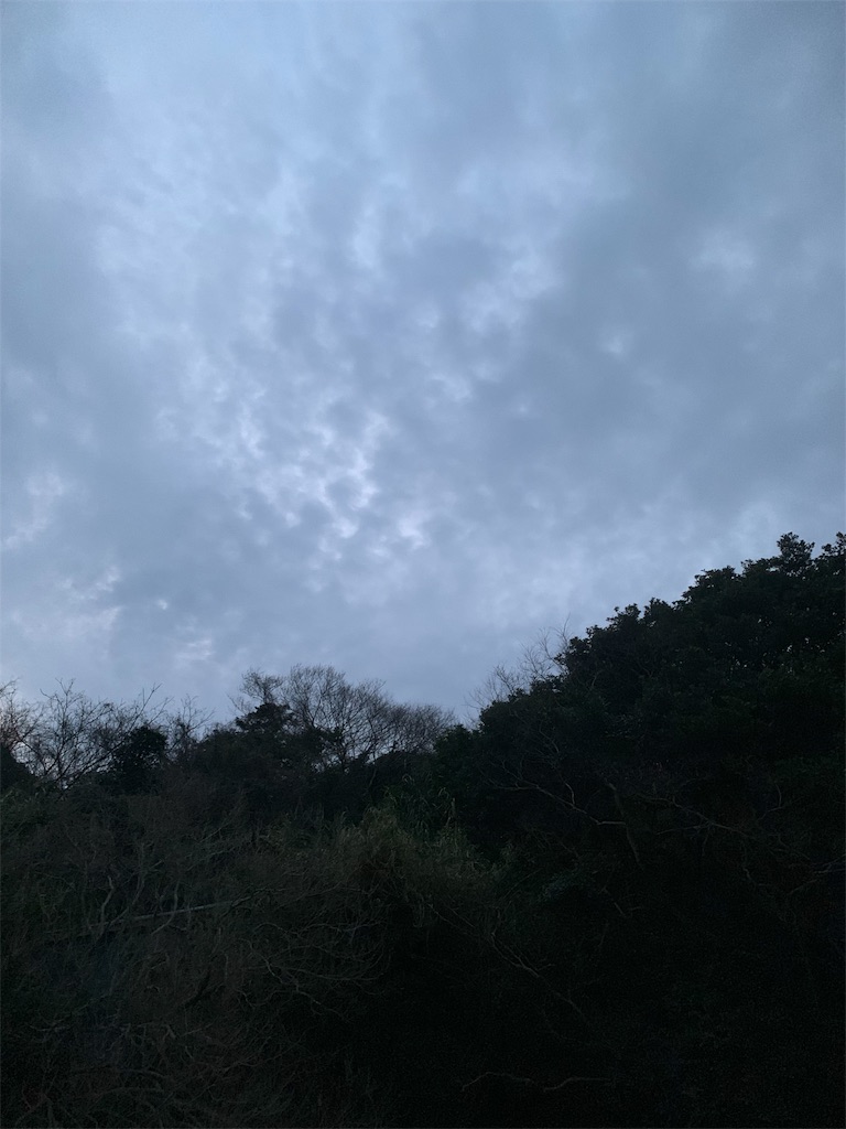 f:id:k_u_r_a_g_e_n:20190225145356j:image f:id:k_u_r_a_g_e_n:20190225145356j:image