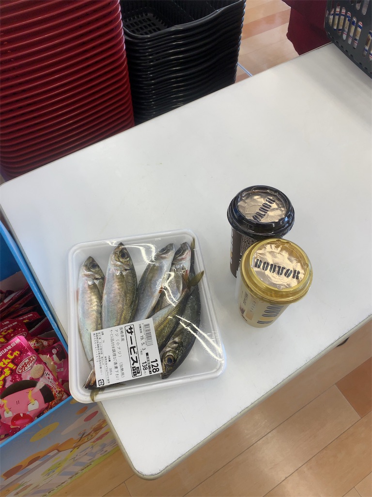 f:id:k_u_r_a_g_e_n:20190501211211j:image