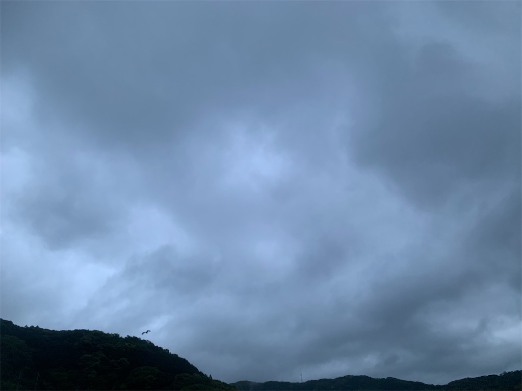 f:id:k_u_r_a_g_e_n:20190501211238j:image