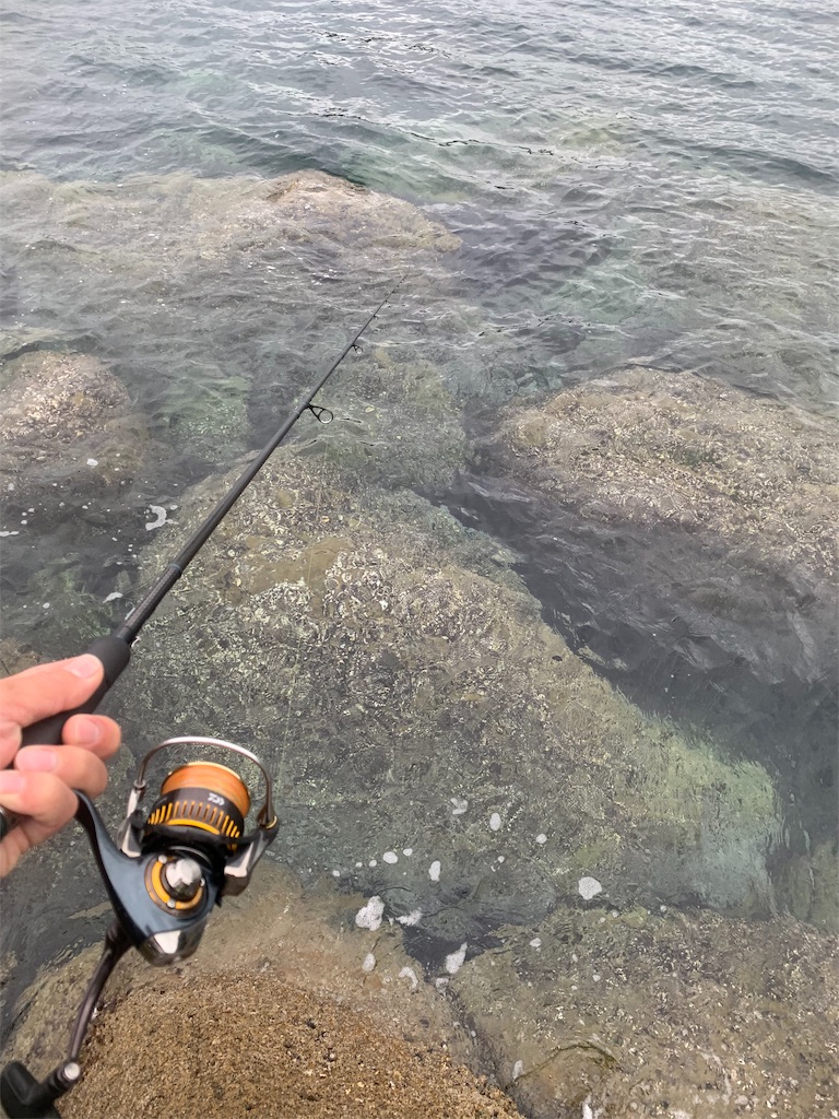 f:id:k_u_r_a_g_e_n:20190501211456j:image