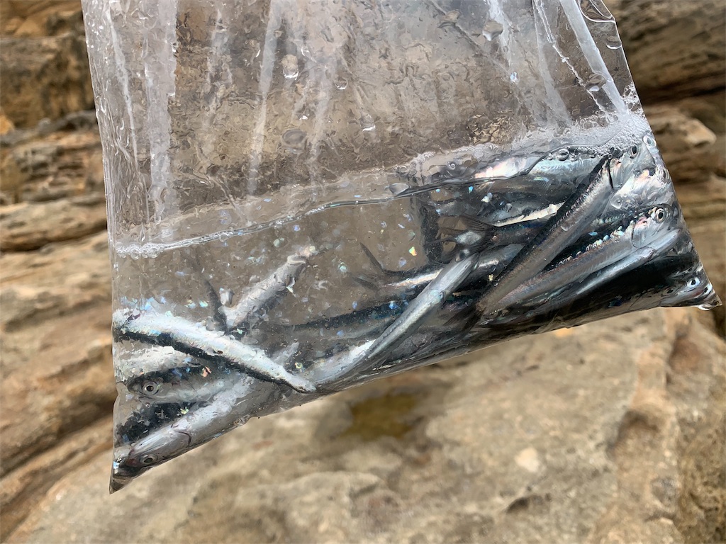 f:id:k_u_r_a_g_e_n:20190501211500j:image