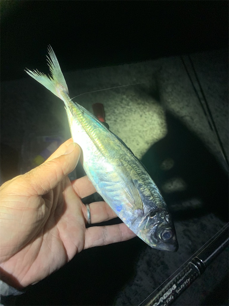 f:id:k_u_r_a_g_e_n:20190510002858j:image f:id:k_u_r_a_g_e_n:20190510002858j:image