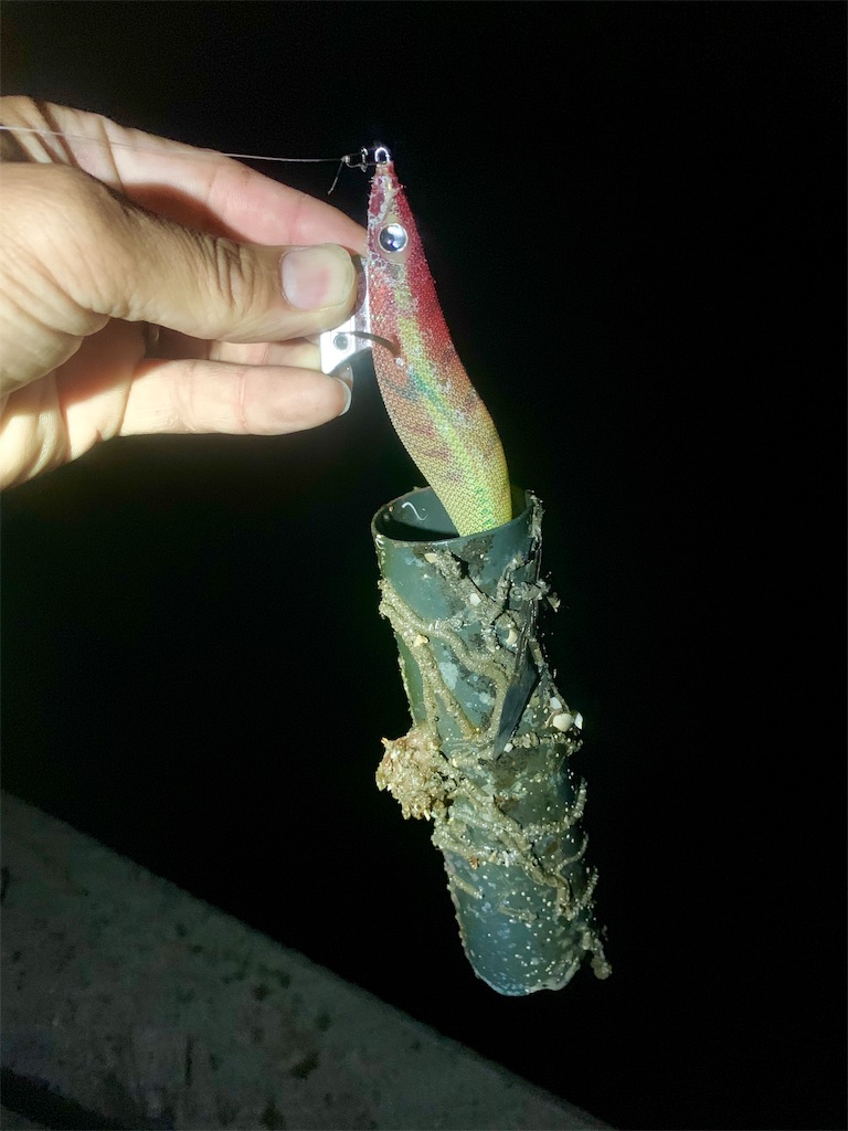 f:id:k_u_r_a_g_e_n:20190510002911j:image f:id:k_u_r_a_g_e_n:20190510002911j:image