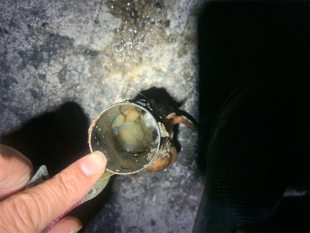 f:id:k_u_r_a_g_e_n:20190510002918j:image f:id:k_u_r_a_g_e_n:20190510002918j:image