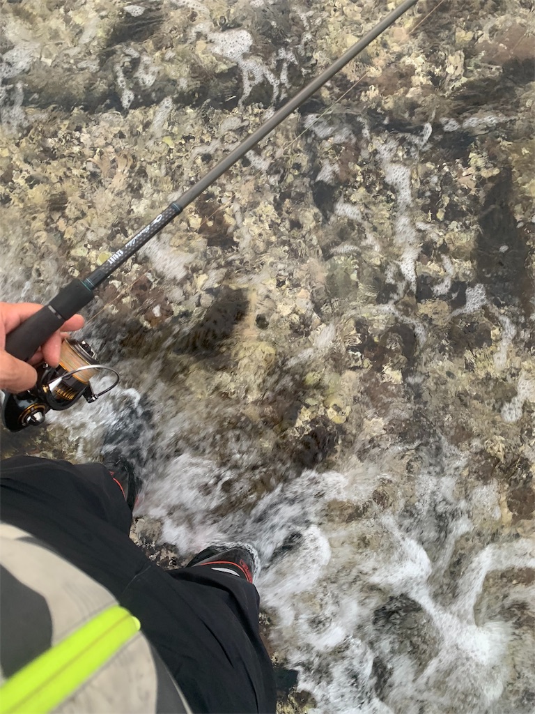 f:id:k_u_r_a_g_e_n:20190510002922j:image f:id:k_u_r_a_g_e_n:20190510002922j:image