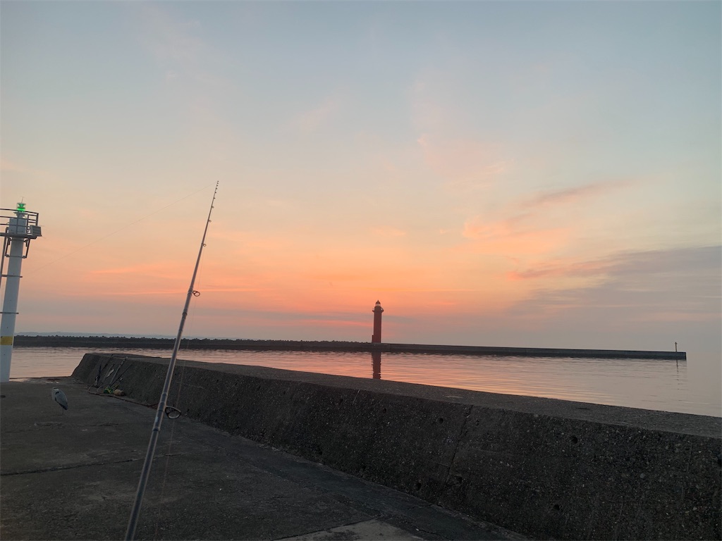 f:id:k_u_r_a_g_e_n:20190512102005j:image f:id:k_u_r_a_g_e_n:20190512102005j:image