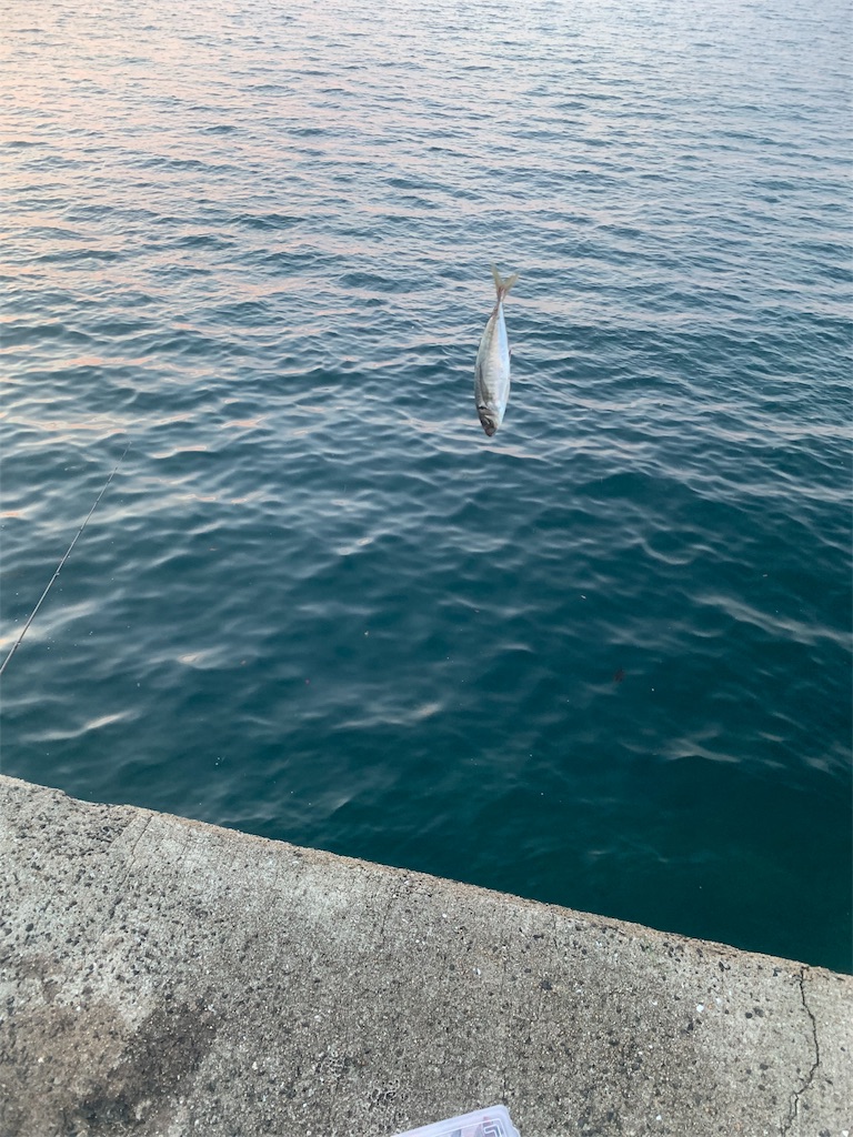 f:id:k_u_r_a_g_e_n:20190512102152j:image f:id:k_u_r_a_g_e_n:20190512102152j:image