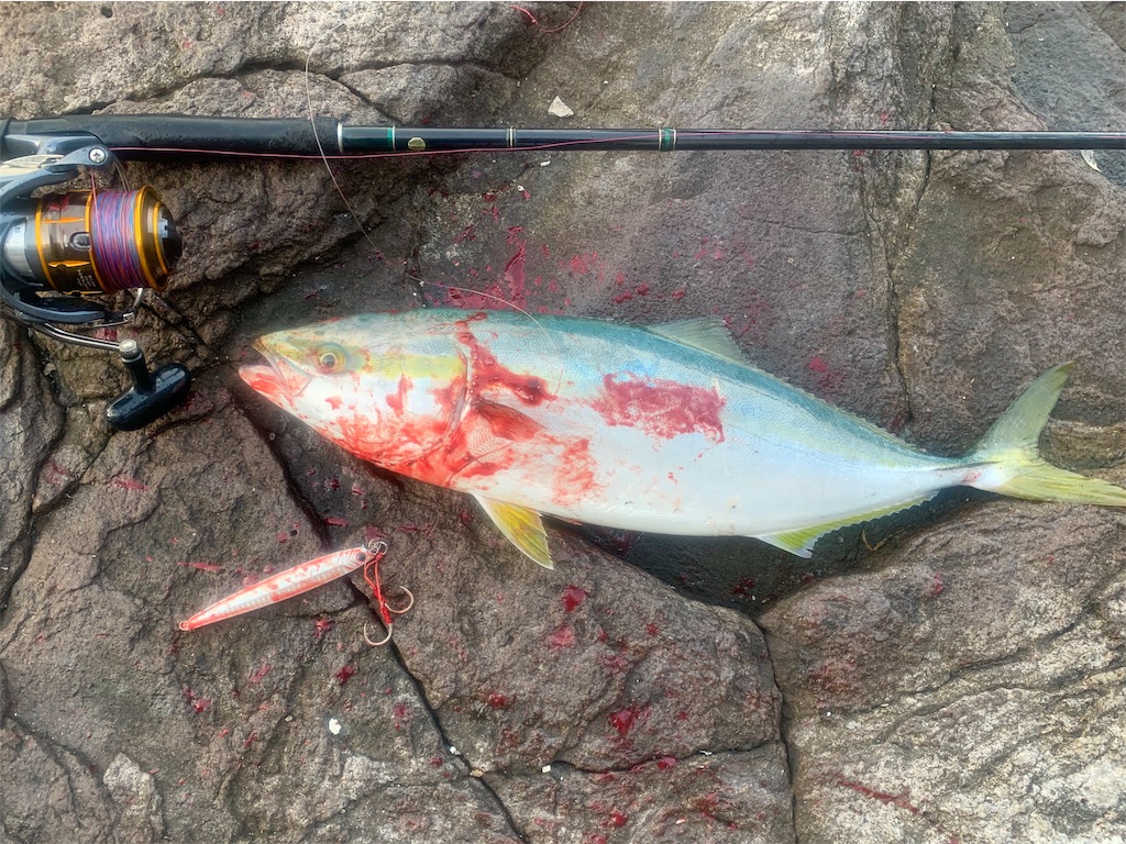 f:id:k_u_r_a_g_e_n:20190526220327j:image f:id:k_u_r_a_g_e_n:20190526220327j:image