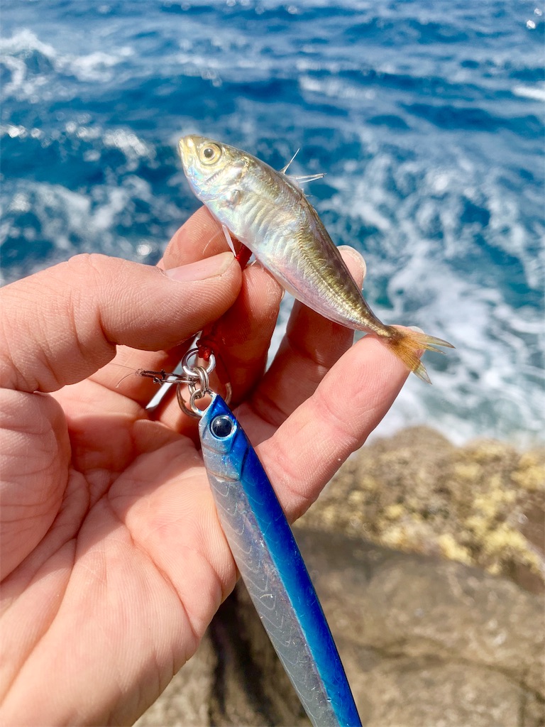 f:id:k_u_r_a_g_e_n:20190526220334j:image f:id:k_u_r_a_g_e_n:20190526220334j:image