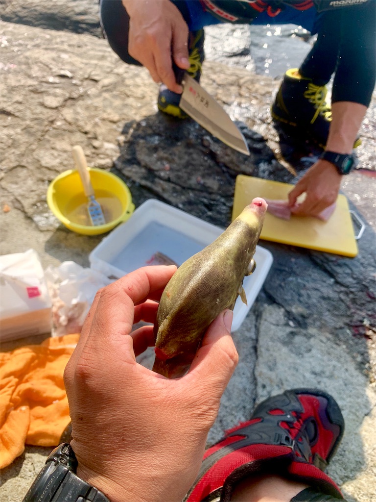 f:id:k_u_r_a_g_e_n:20190526220347j:image f:id:k_u_r_a_g_e_n:20190526220347j:image