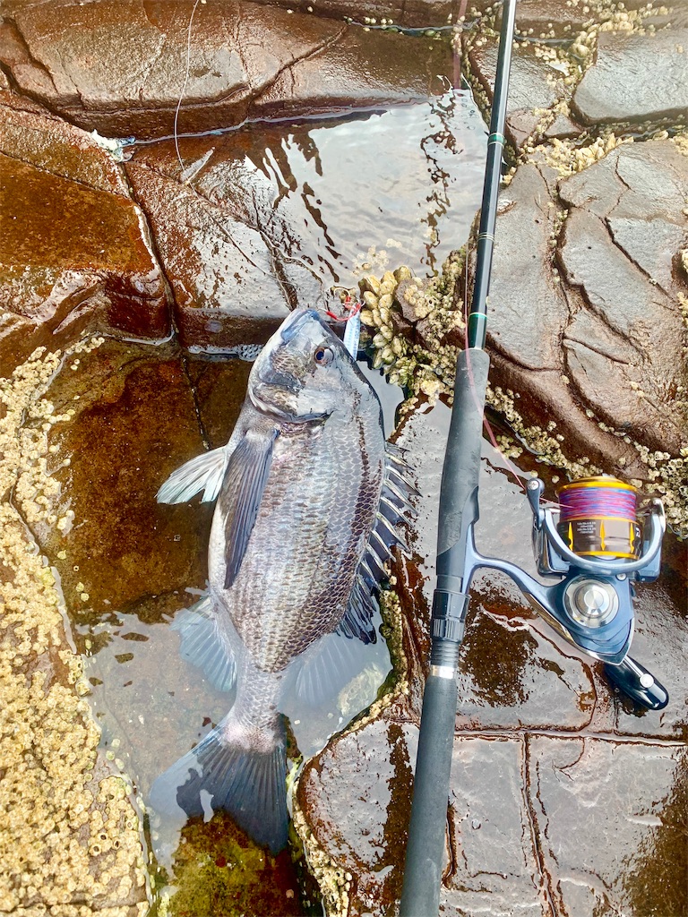 f:id:k_u_r_a_g_e_n:20190526224520j:image f:id:k_u_r_a_g_e_n:20190526224520j:image