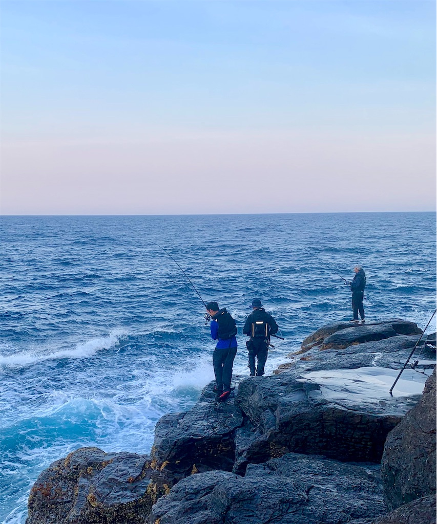 f:id:k_u_r_a_g_e_n:20190527112923j:image f:id:k_u_r_a_g_e_n:20190527112923j:image