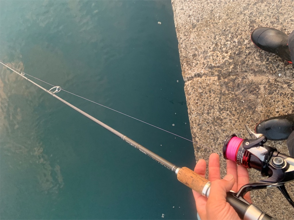 f:id:k_u_r_a_g_e_n:20190531115005j:image