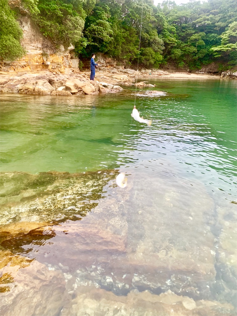 f:id:k_u_r_a_g_e_n:20190615080509j:image