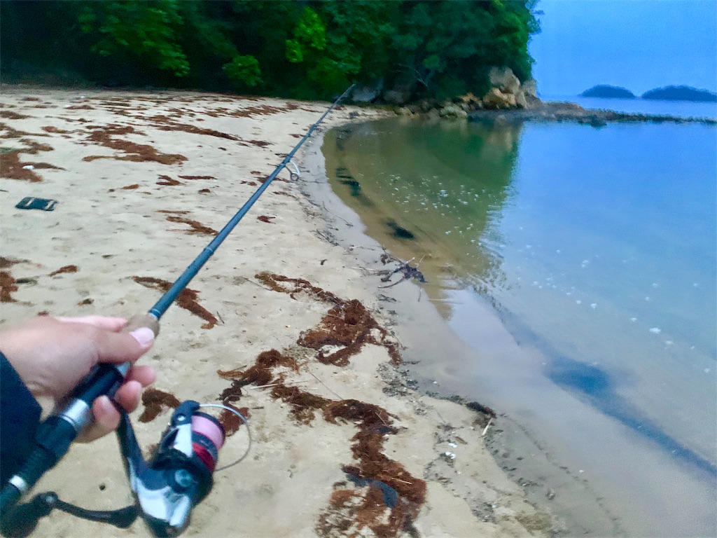 f:id:k_u_r_a_g_e_n:20190615080521j:image