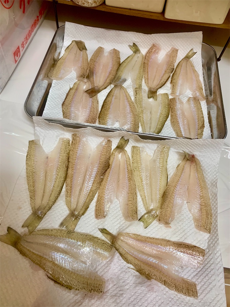 f:id:k_u_r_a_g_e_n:20190615083240j:image
