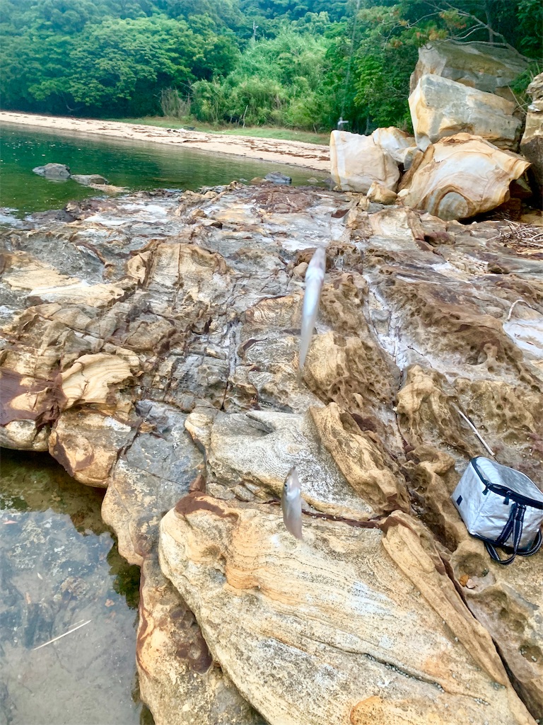 f:id:k_u_r_a_g_e_n:20190615083249j:image