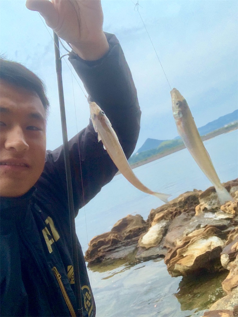 f:id:k_u_r_a_g_e_n:20190615083258j:image