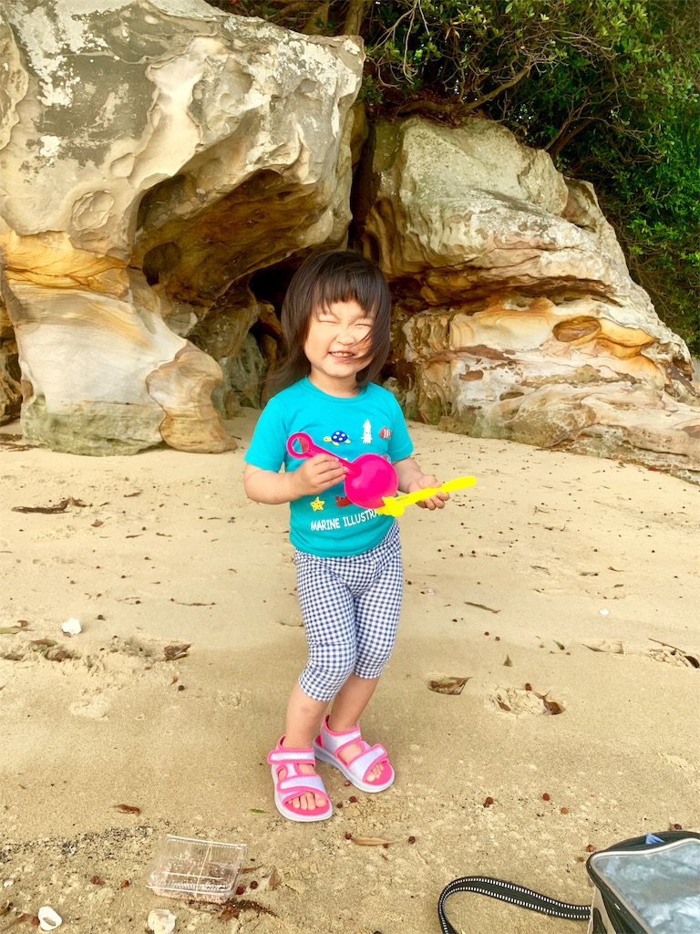 f:id:k_u_r_a_g_e_n:20190615083313j:image