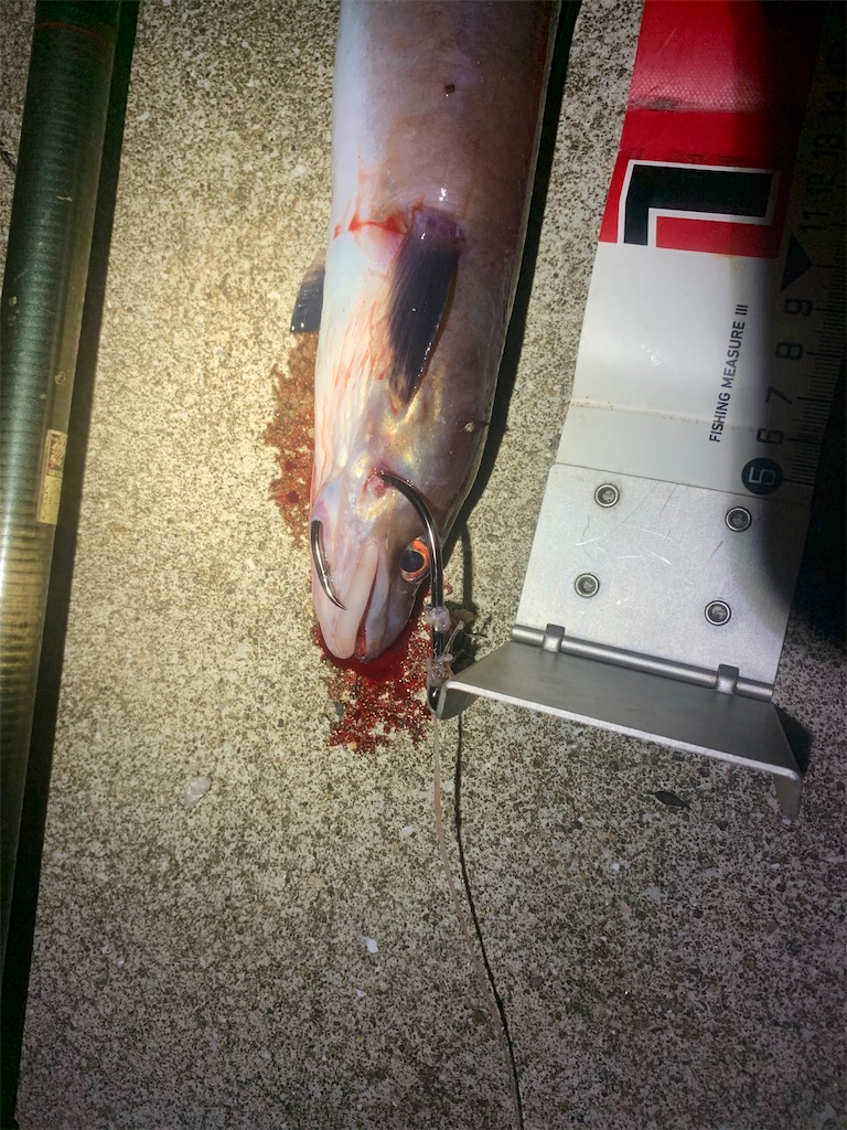 f:id:k_u_r_a_g_e_n:20190708082158j:image