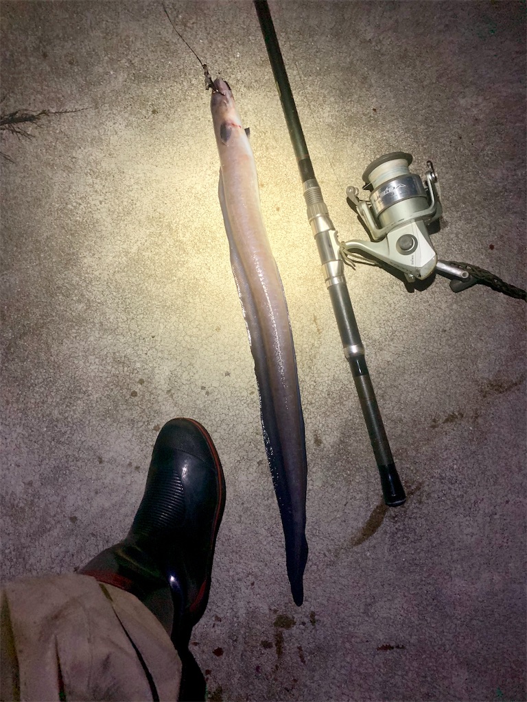 f:id:k_u_r_a_g_e_n:20190708103702j:image