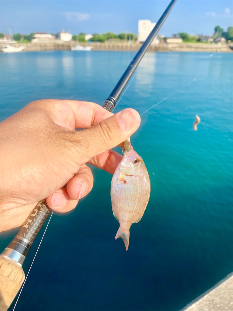 f:id:k_u_r_a_g_e_n:20190708173815j:image