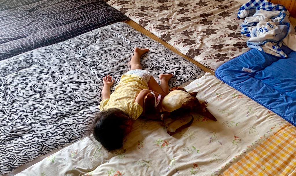 f:id:k_u_r_a_g_e_n:20190708174533j:image