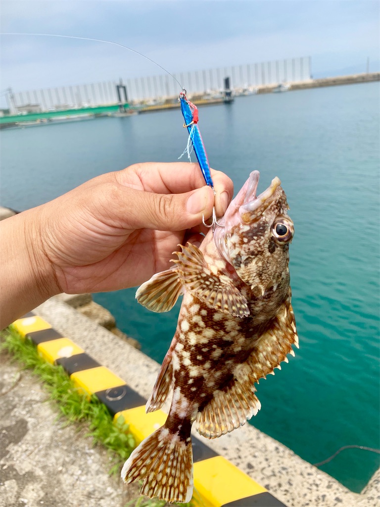 f:id:k_u_r_a_g_e_n:20190708174553j:image