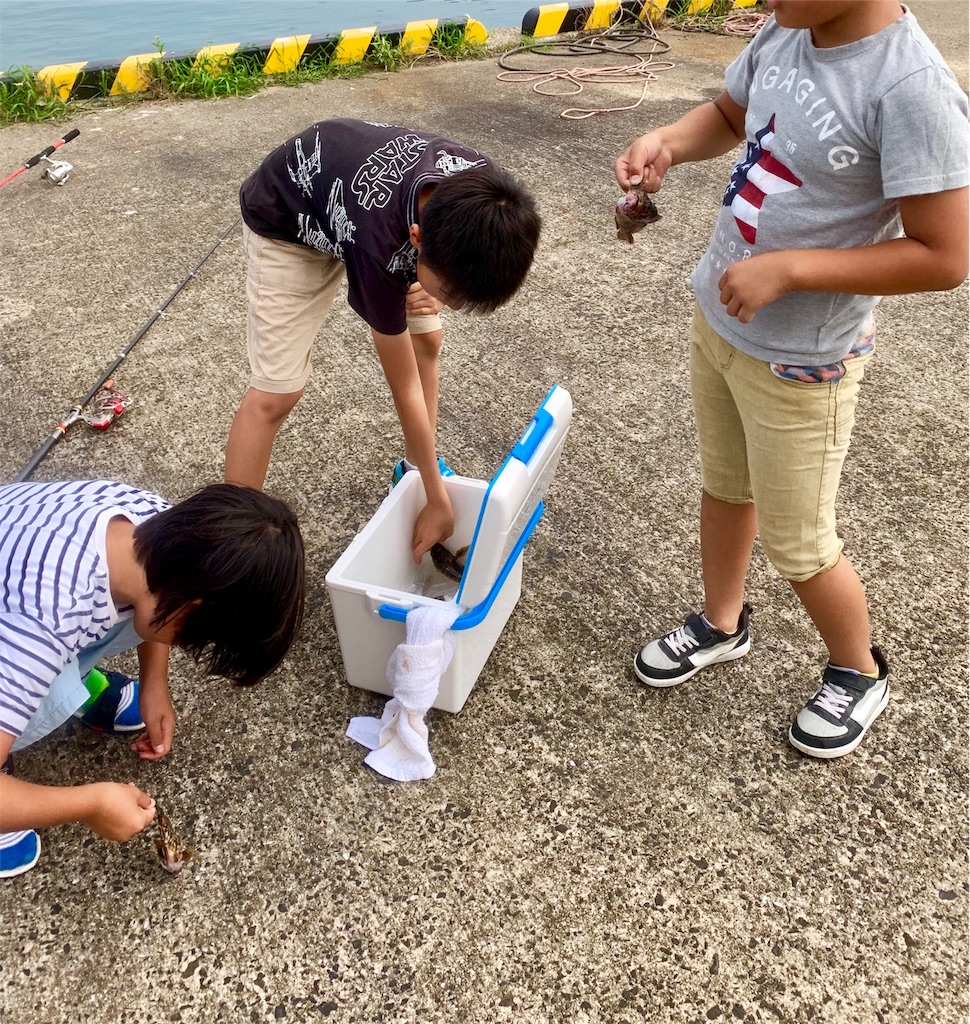 f:id:k_u_r_a_g_e_n:20190708174644j:image