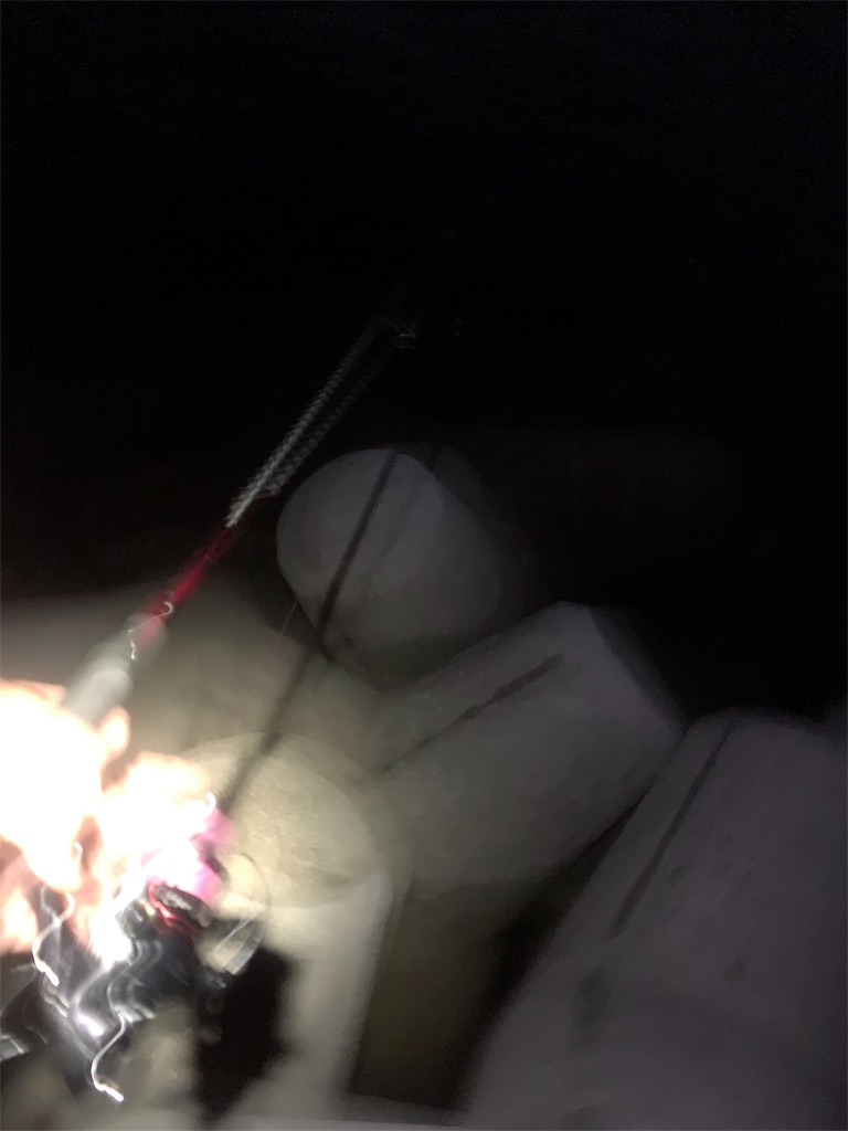 f:id:k_u_r_a_g_e_n:20190708174647j:image