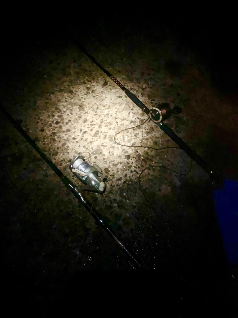 f:id:k_u_r_a_g_e_n:20190711103632j:image f:id:k_u_r_a_g_e_n:20190711103632j:image