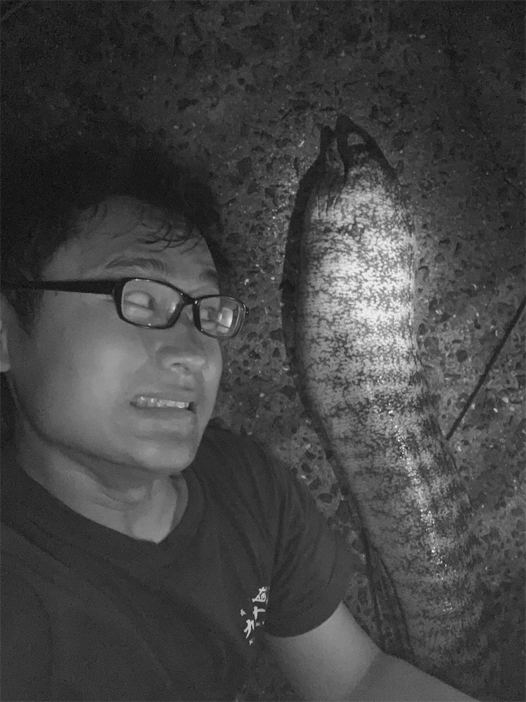 f:id:k_u_r_a_g_e_n:20190711110026j:image f:id:k_u_r_a_g_e_n:20190711110026j:image