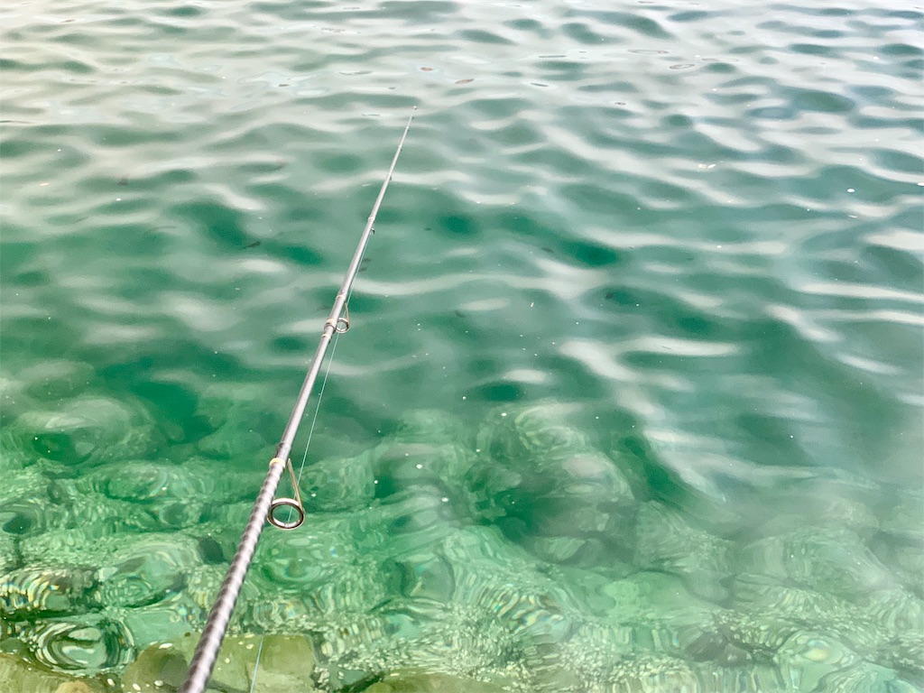 f:id:k_u_r_a_g_e_n:20190819203745j:image
