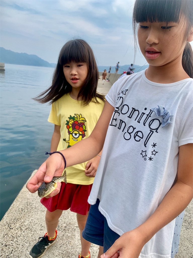 f:id:k_u_r_a_g_e_n:20190819203911j:image