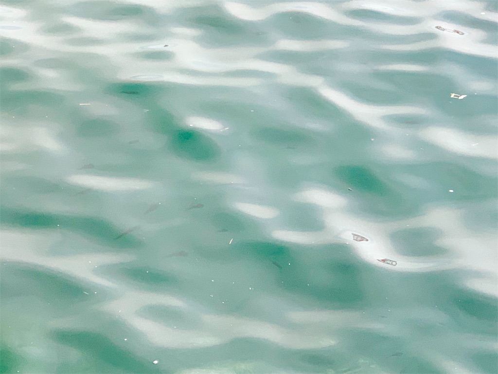 f:id:k_u_r_a_g_e_n:20190819204120j:image