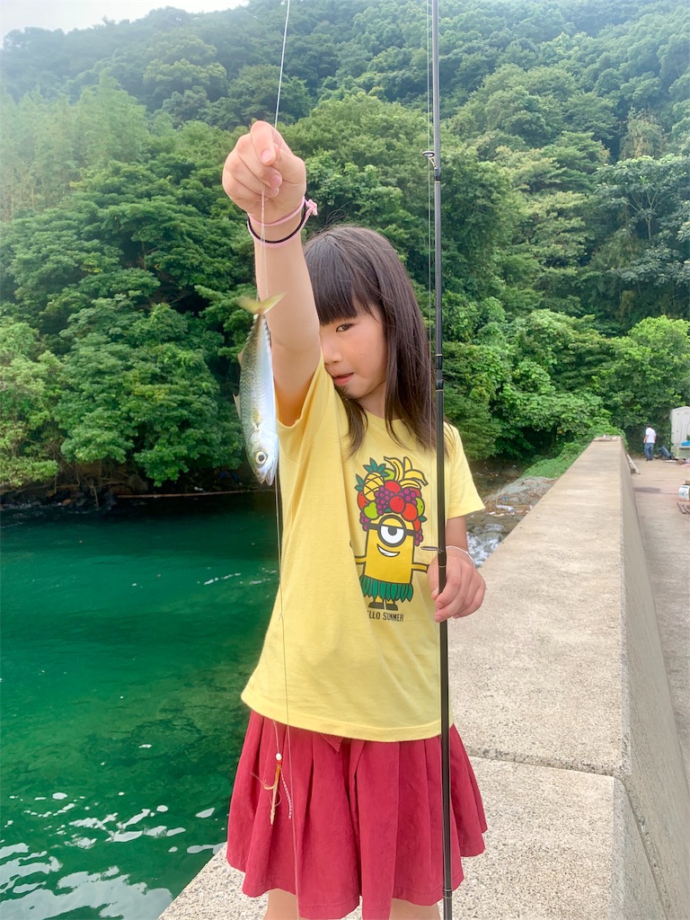 f:id:k_u_r_a_g_e_n:20190819204129j:image