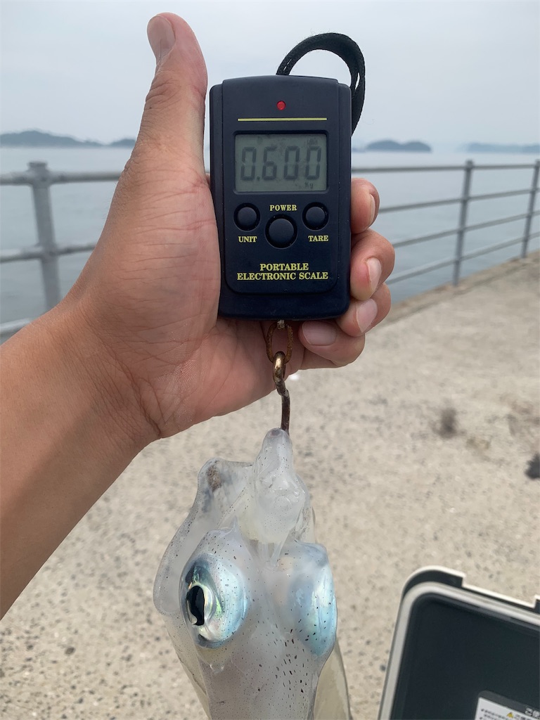 f:id:k_u_r_a_g_e_n:20190819204208j:image