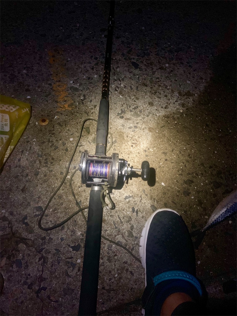 f:id:k_u_r_a_g_e_n:20190904153034j:image f:id:k_u_r_a_g_e_n:20190904153034j:image