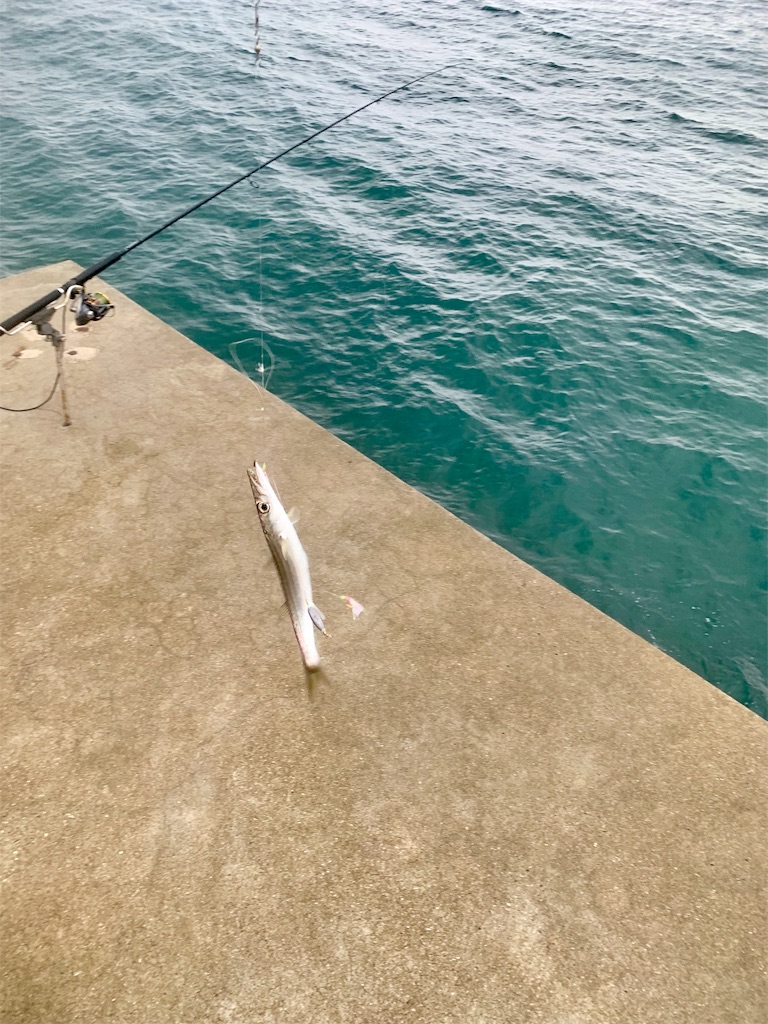 f:id:k_u_r_a_g_e_n:20190922214241j:image f:id:k_u_r_a_g_e_n:20190922214241j:image