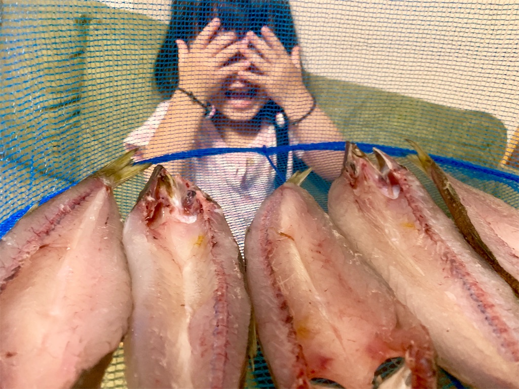 f:id:k_u_r_a_g_e_n:20190922215023j:image f:id:k_u_r_a_g_e_n:20190922215023j:image