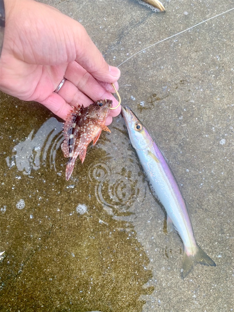 f:id:k_u_r_a_g_e_n:20190922220404j:image f:id:k_u_r_a_g_e_n:20190922220404j:image