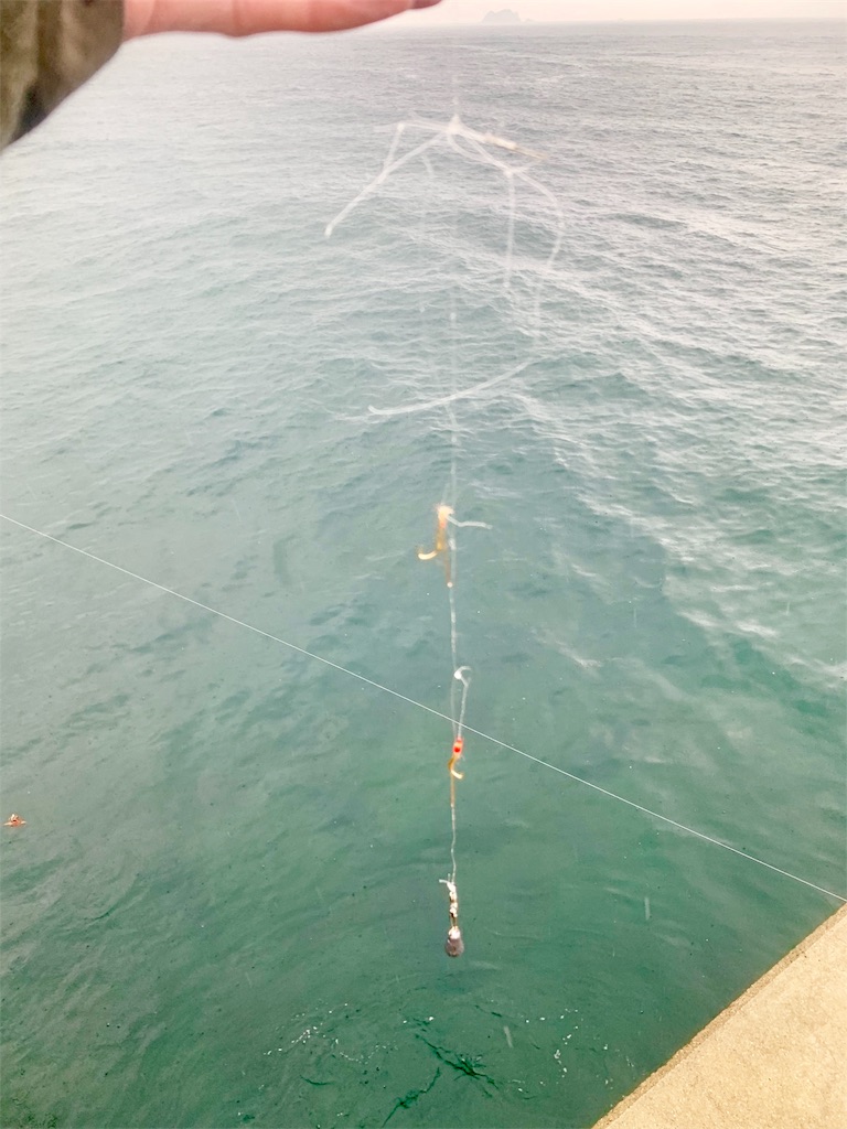 f:id:k_u_r_a_g_e_n:20190922220427j:image f:id:k_u_r_a_g_e_n:20190922220427j:image