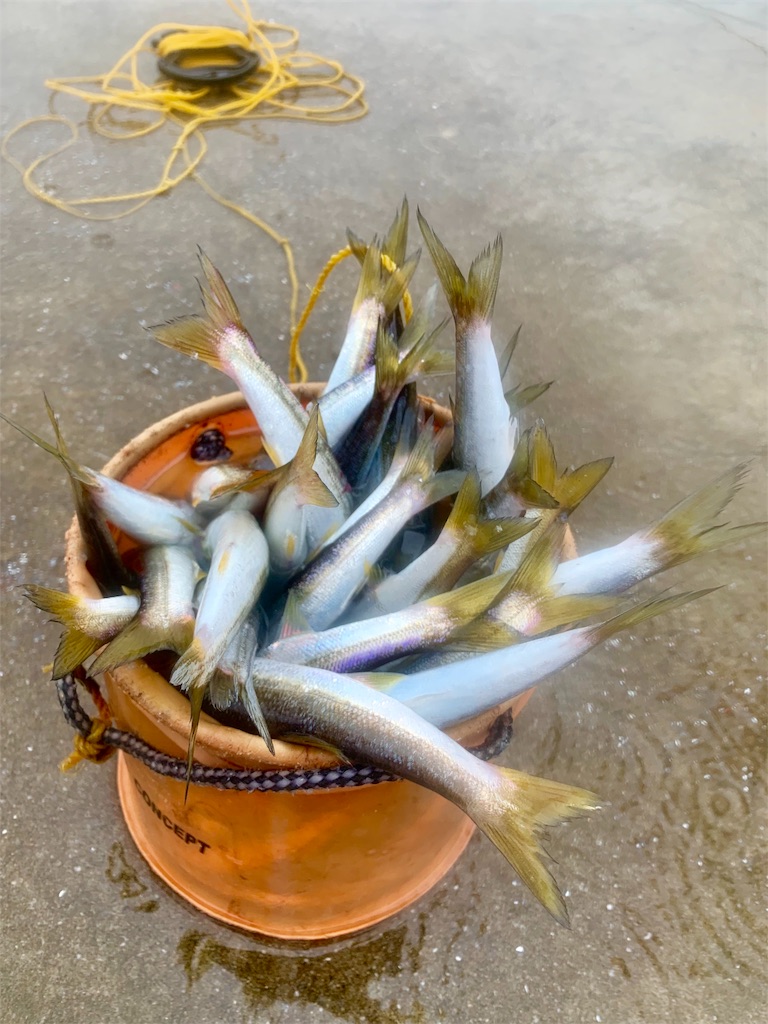 f:id:k_u_r_a_g_e_n:20190922220436j:image f:id:k_u_r_a_g_e_n:20190922220436j:image