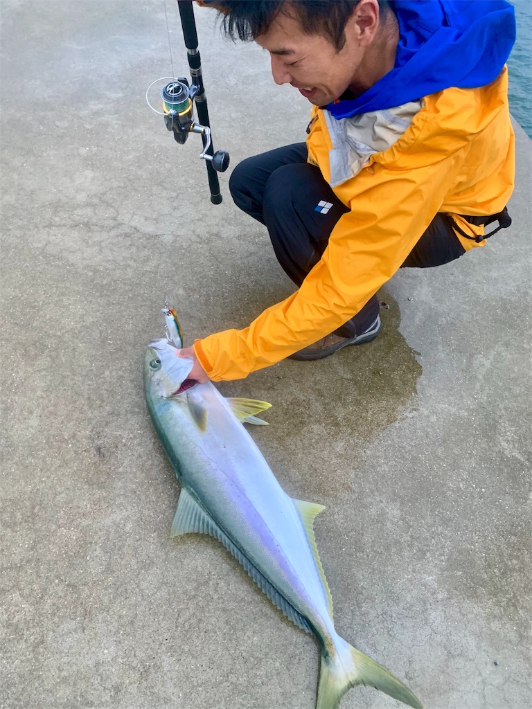 f:id:k_u_r_a_g_e_n:20190922220508j:image f:id:k_u_r_a_g_e_n:20190922220508j:image