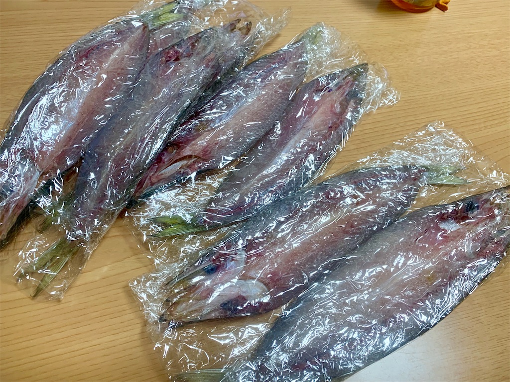 f:id:k_u_r_a_g_e_n:20190923144239j:image f:id:k_u_r_a_g_e_n:20190923144239j:image